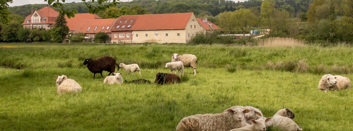 bb19 stevertal DSC05564m 3000x2000 verkleinert ok