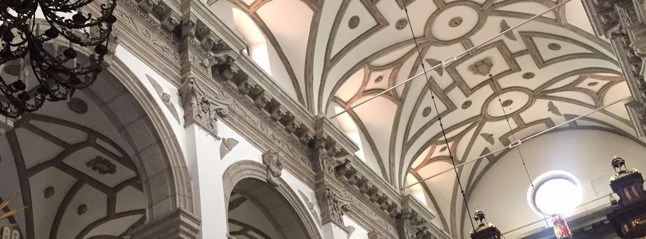 Zamosc Artikel 1 neu